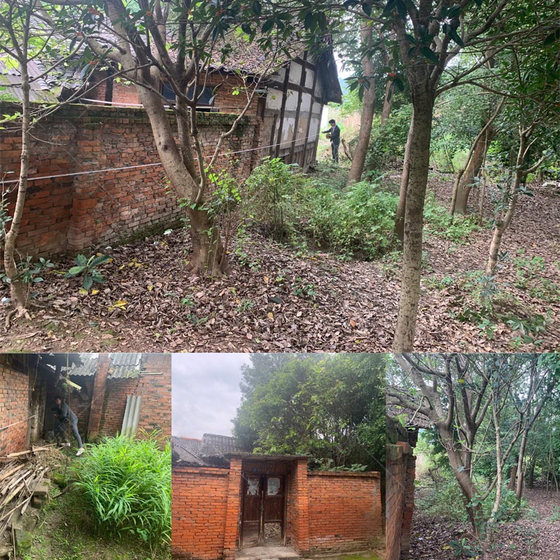 南充閬中現(xiàn)場勘查測量